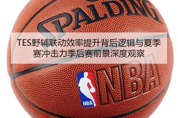 TES野辅联动效率提升背后逻辑与夏季赛冲击力季后赛前景深度观察