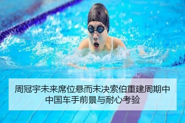 zhou-guan-yu-wei-lai-xi-wei-xuan-er-wei-jue-suo-bo-chong-jian-zhou-qi-zhong-zhong-guo-che-shou-qian-jing-yu-nai-xin-kao-1-367.jpg