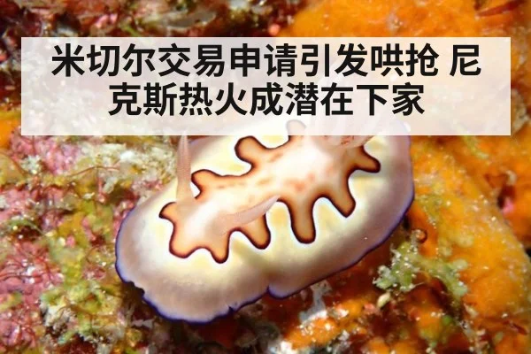 米切尔交易申请引发哄抢 尼克斯热火成潜在下家